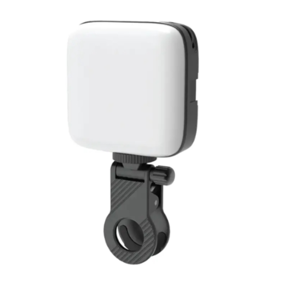 Green Lion Mini Snap Light
