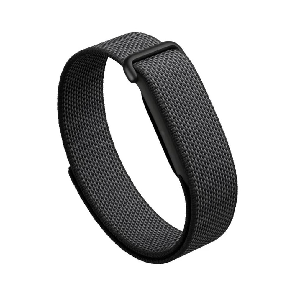 google-fitbit-air